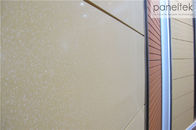Painéis cerâmicos de superfície lustrados dos painéis de parede exterior para a parede de cortina de construção